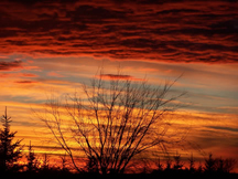 idaho sunset